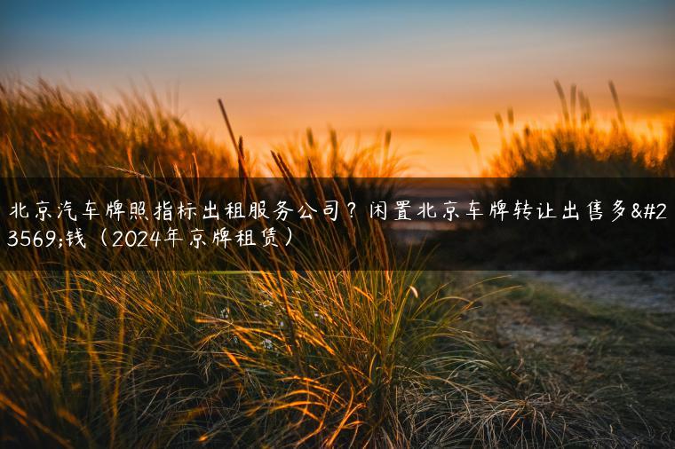 北京汽车牌照指标出租服务公司？闲置北京车牌转让出售多少钱（2024年京牌租赁）