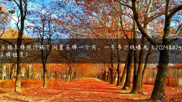北京租车牌照价格？闲置京牌一个月、一年多少钱曝光（2024年京牌租赁）