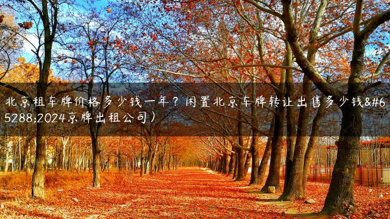 北京租车牌价格多少钱一年？闲置北京车牌转让出售多少钱（2024京牌出租公司）