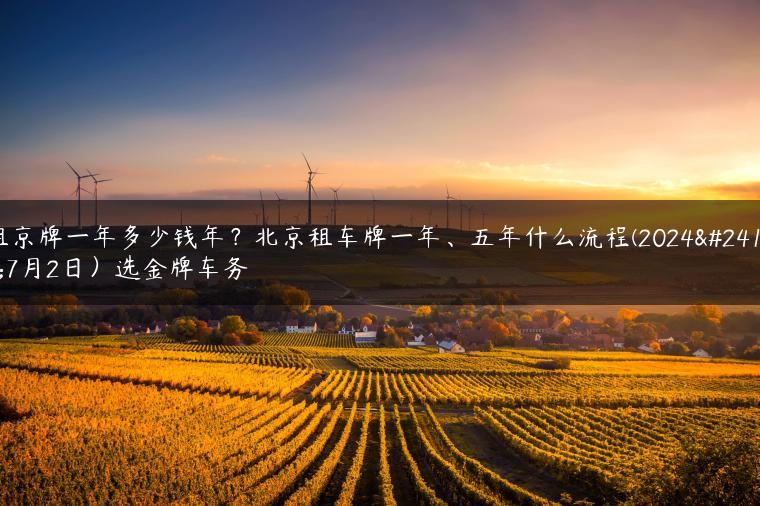 租京牌一年多少钱年？北京租车牌一年、五年什么流程(2024年7月2日）选金牌车务