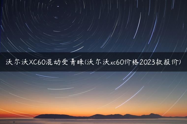 沃尔沃XC60混动受青睐(沃尔沃xc60价格2023款报价)