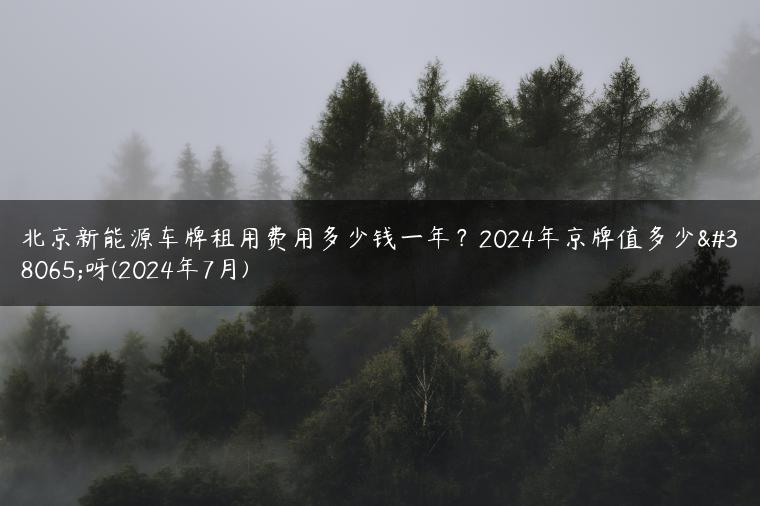 北京新能源车牌租用费用多少钱一年？2024年京牌值多少钱呀(2024年7月)