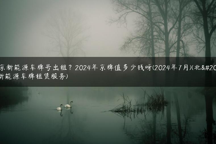 北京新能源车牌号出租？2024年京牌值多少钱呀(2024年7月)(北京新能源车牌租赁服务)