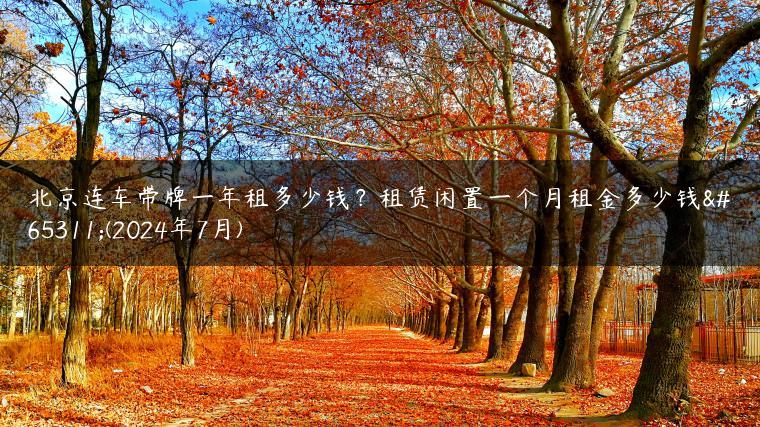北京连车带牌一年租多少钱？租赁闲置一个月租金多少钱？(2024年7月)