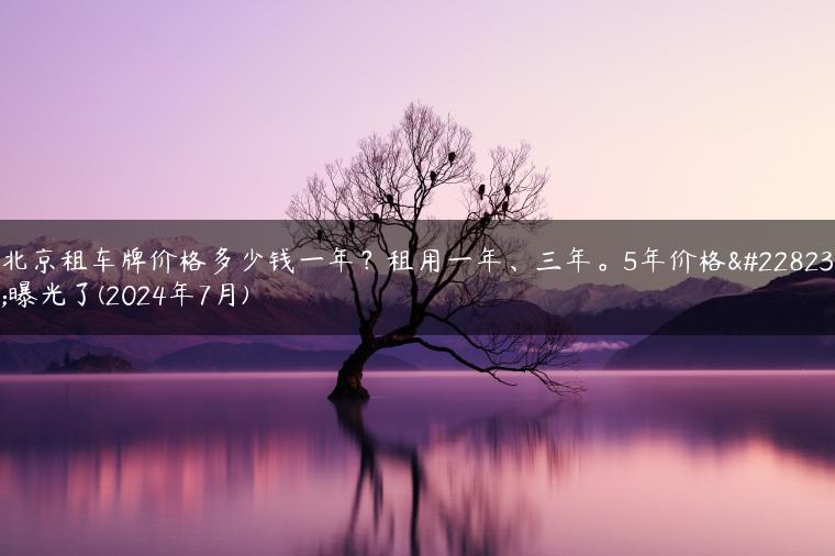 北京租车牌价格多少钱一年？租用一年、三年。5年价格大曝光了(2024年7月)