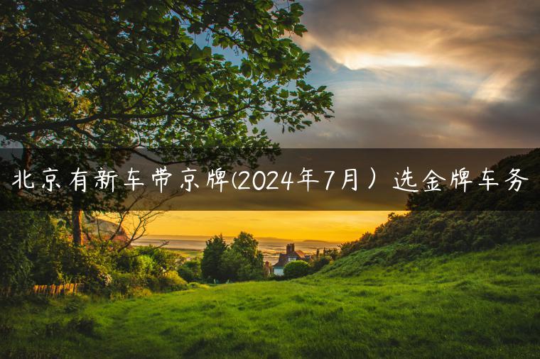 北京有新车带京牌(2024年7月）选金牌车务
