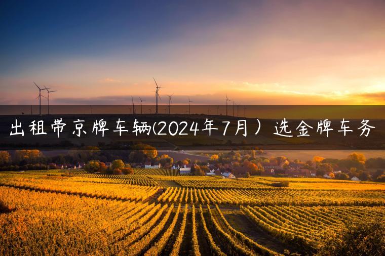 出租带京牌车辆(2024年7月）选金牌车务