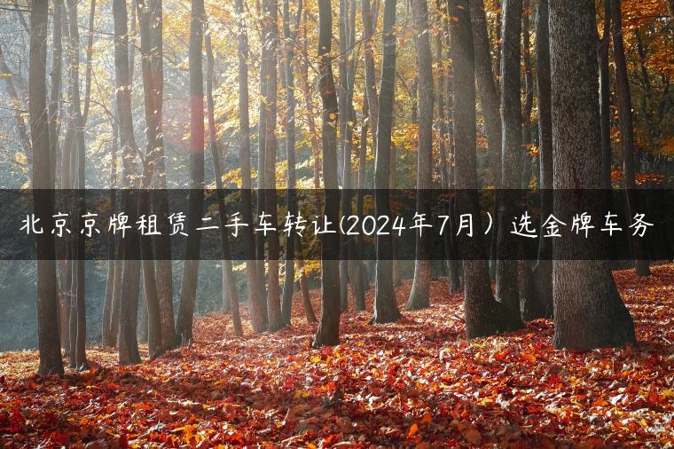 北京京牌租赁二手车转让(2024年7月）选金牌车务