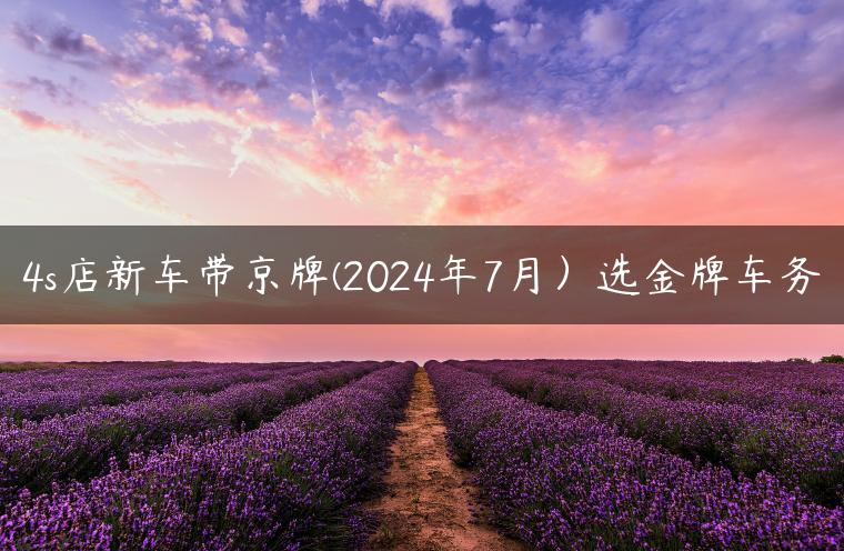 4s店新车带京牌(2024年7月）选金牌车务