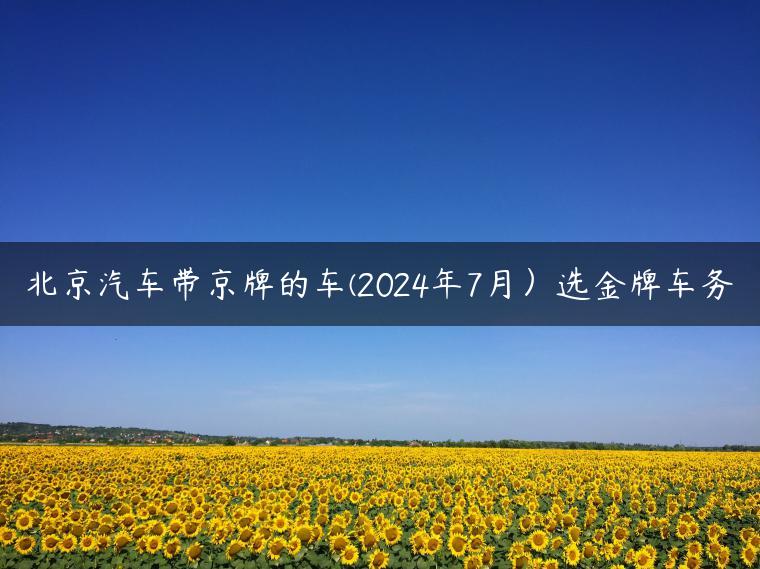 北京汽车带京牌的车(2024年7月）选金牌车务