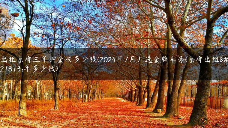 出租京牌三年押金收多少钱(2024年7月）选金牌车务(京牌出租十年多少钱)