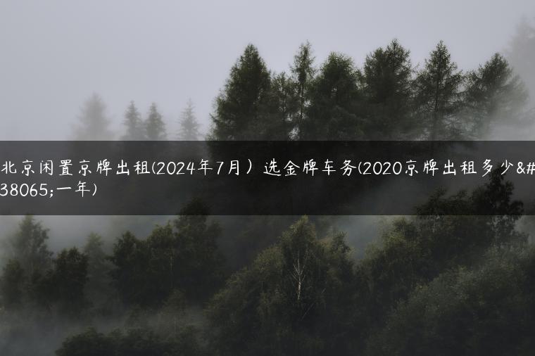 北京闲置京牌出租(2024年7月）选金牌车务(2020京牌出租多少钱一年)