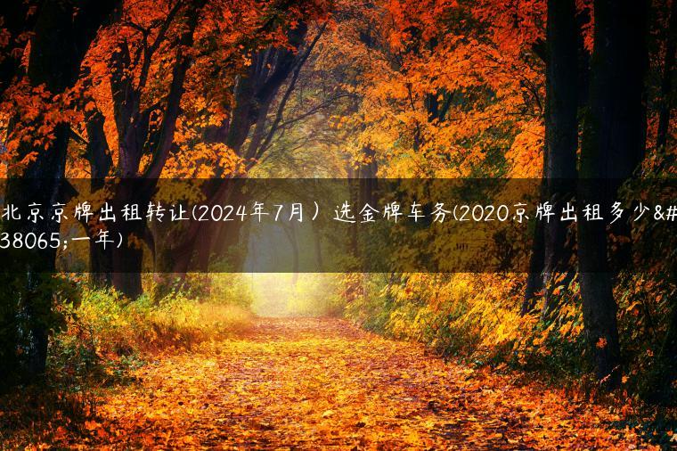 北京京牌出租转让(2024年7月）选金牌车务(2020京牌出租多少钱一年)