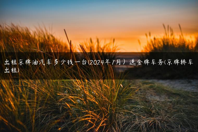 出租京牌油汽车多少钱一台(2024年7月）选金牌车务(京牌轿车出租)