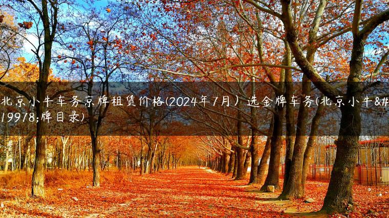 北京小牛车务京牌租赁价格(2024年7月）选金牌车务(北京小牛上牌目录)