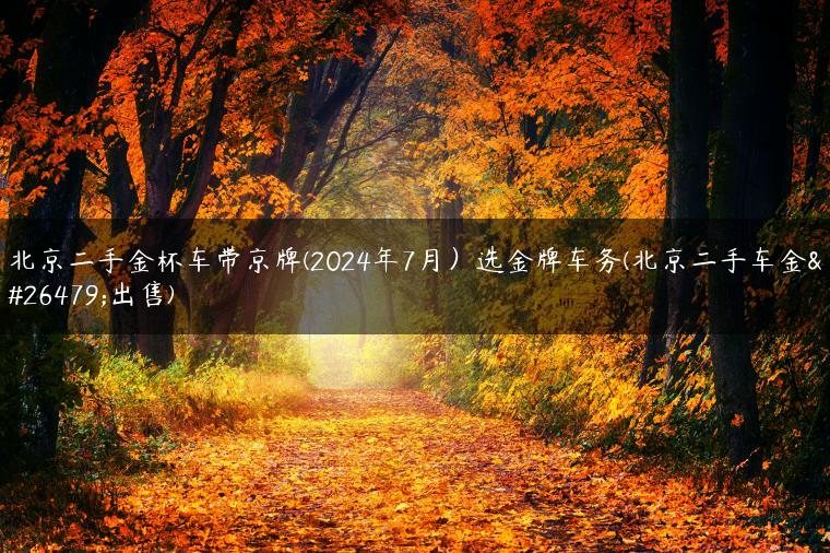 北京二手金杯车带京牌(2024年7月）选金牌车务(北京二手车金杯出售)