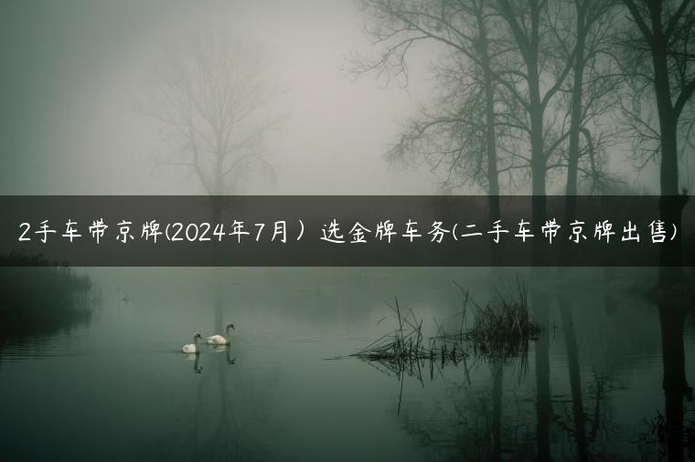 2手车带京牌(2024年7月）选金牌车务(二手车带京牌出售)