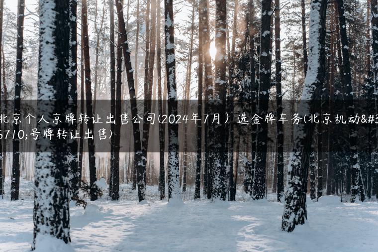 北京个人京牌转让出售公司(2024年7月）选金牌车务(北京机动车号牌转让出售)