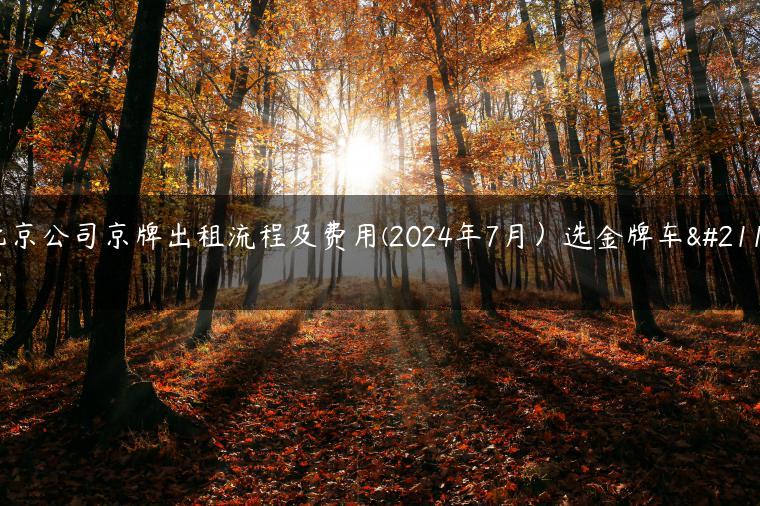 北京公司京牌出租流程及费用(2024年7月）选金牌车务-金牌车友