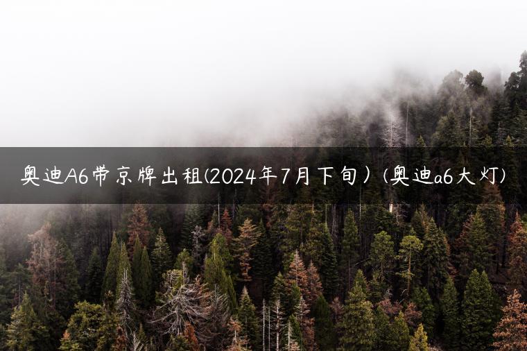 奥迪A6带京牌出租(2024年7月下旬）(奥迪a6大灯)