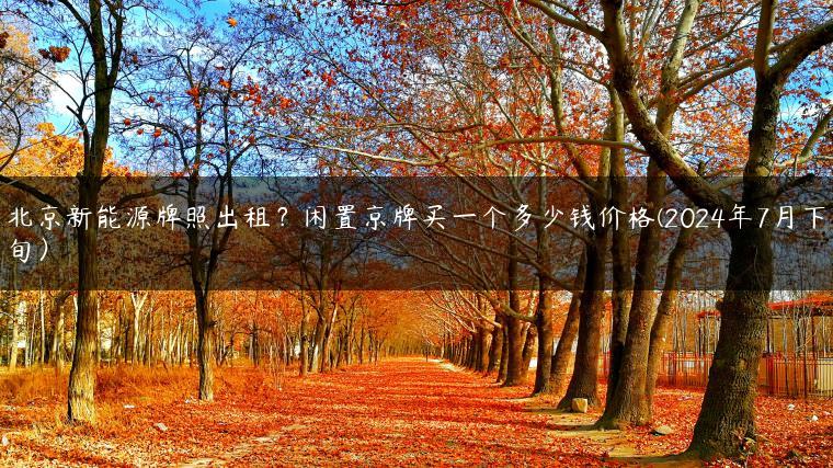 北京新能源牌照出租？闲置京牌买一个多少钱价格(2024年7月下旬）