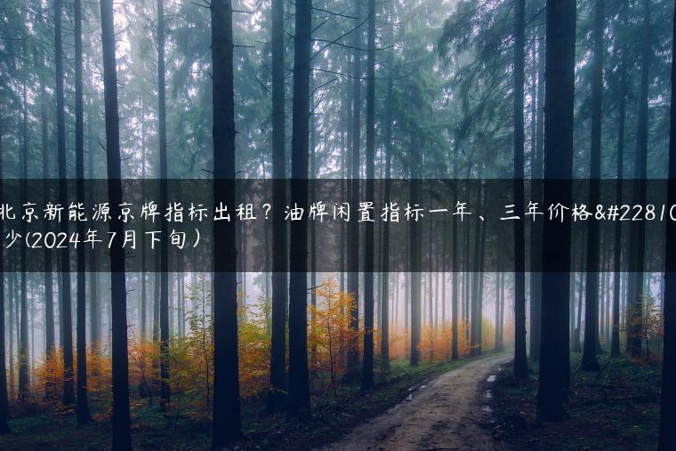 北京新能源京牌指标出租？油牌闲置指标一年、三年价格多少(2024年7月下旬）
