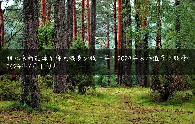 租北京新能源车牌大概多少钱一年？2024年京牌值多少钱呀(2024年7月下旬）