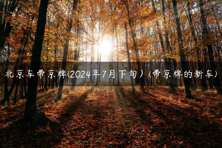 北京车带京牌(2024年7月下旬）(带京牌的新车)