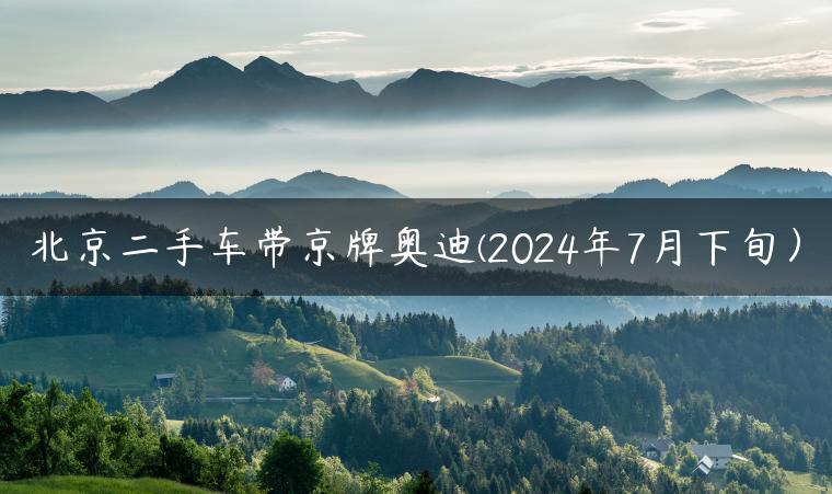 北京二手车带京牌奥迪(2024年7月下旬）