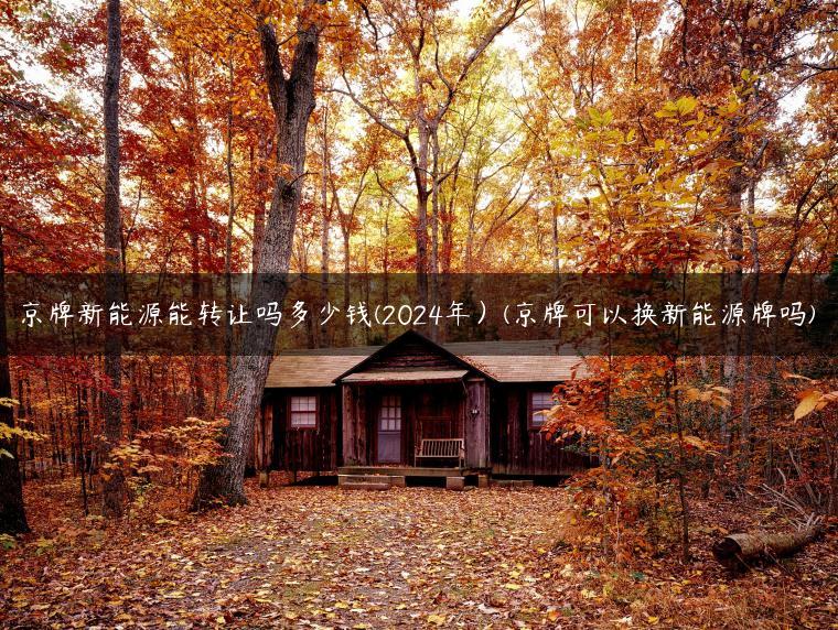 京牌新能源能转让吗多少钱(2024年）(京牌可以换新能源牌吗)