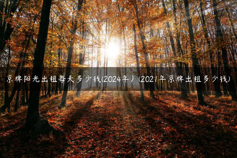 京牌阳光出租每天多少钱(2024年）(2021年京牌出租多少钱)