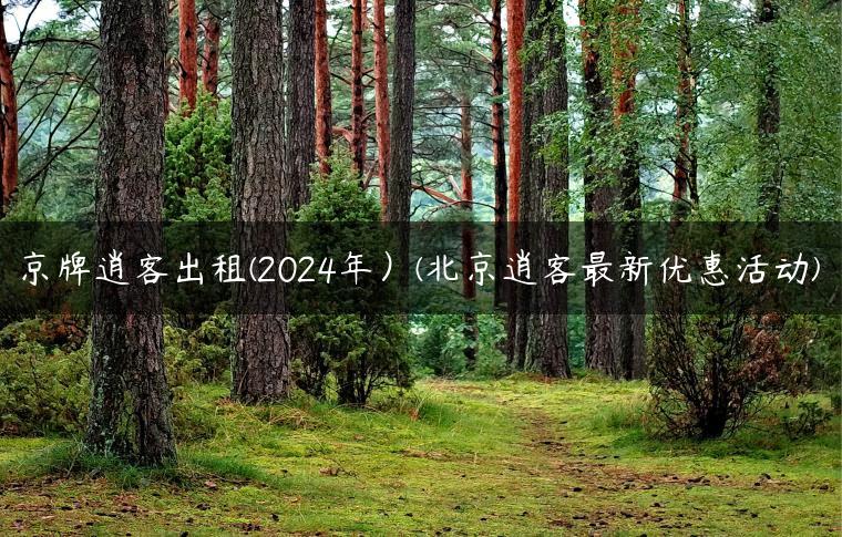京牌逍客出租(2024年）(北京逍客最新优惠活动)