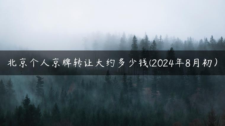 北京个人京牌转让大约多少钱(2024年8月初）