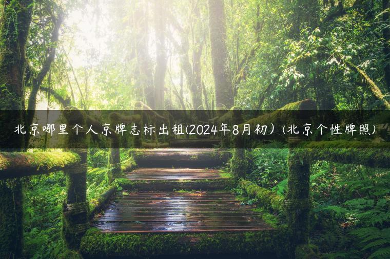 北京哪里个人京牌志标出租(2024年8月初）(北京个性牌照)