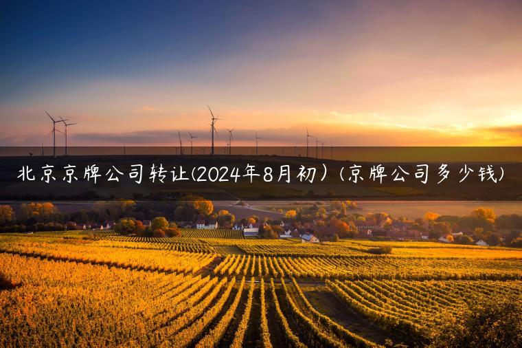 北京京牌公司转让(2024年8月初）(京牌公司多少钱)