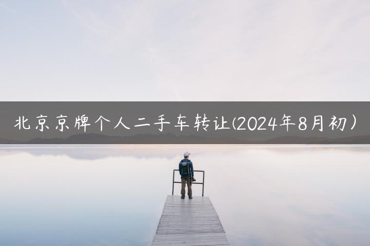 北京京牌个人二手车转让(2024年8月初）