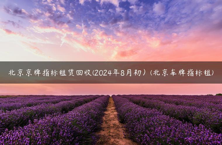 北京京牌指标租赁回收(2024年8月初）(北京车牌指标租)