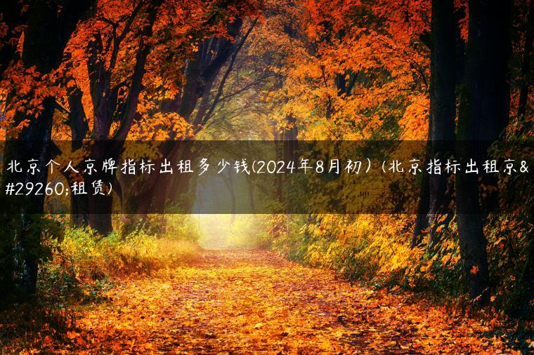 北京个人京牌指标出租多少钱(2024年8月初）(北京指标出租京牌租赁)