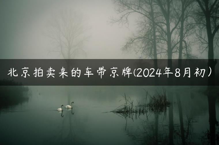 北京拍卖来的车带京牌(2024年8月初）