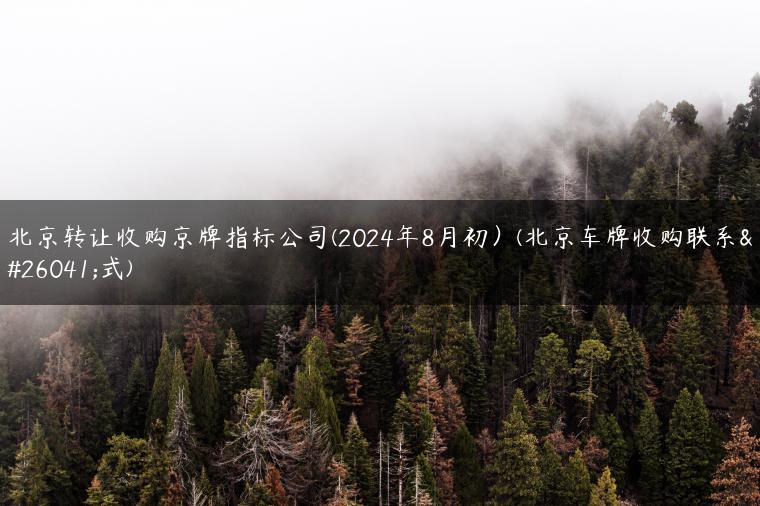 北京转让收购京牌指标公司(2024年8月初）(北京车牌收购联系方式)