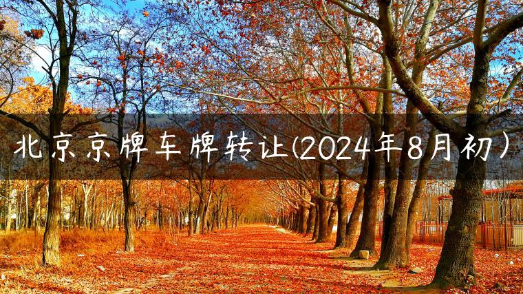 北京京牌车牌转让(2024年8月初）