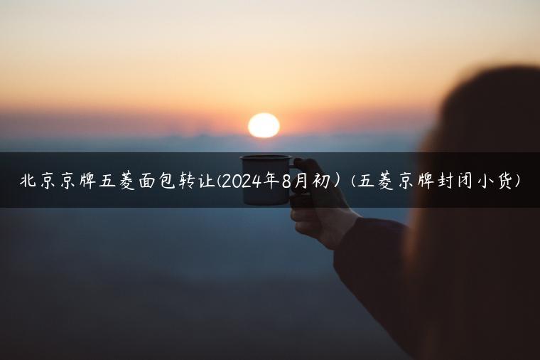 北京京牌五菱面包转让(2024年8月初）(五菱京牌封闭小货)
