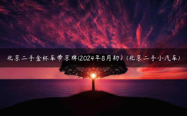 北京二手金杯车带京牌(2024年8月初）(北京二手小汽车)