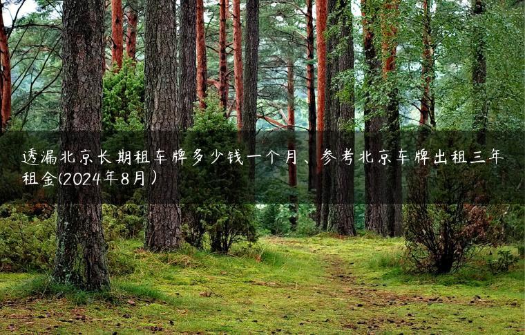 透漏北京长期租车牌多少钱一个月、参考北京车牌出租三年租金(2024年8月）