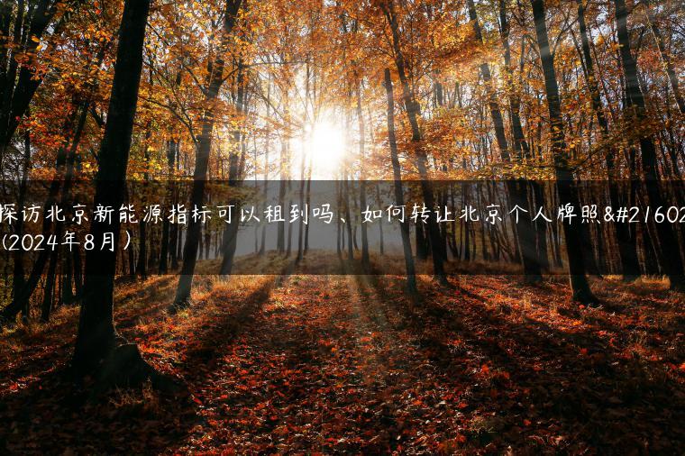 探访北京新能源指标可以租到吗、如何转让北京个人牌照呢(2024年8月）