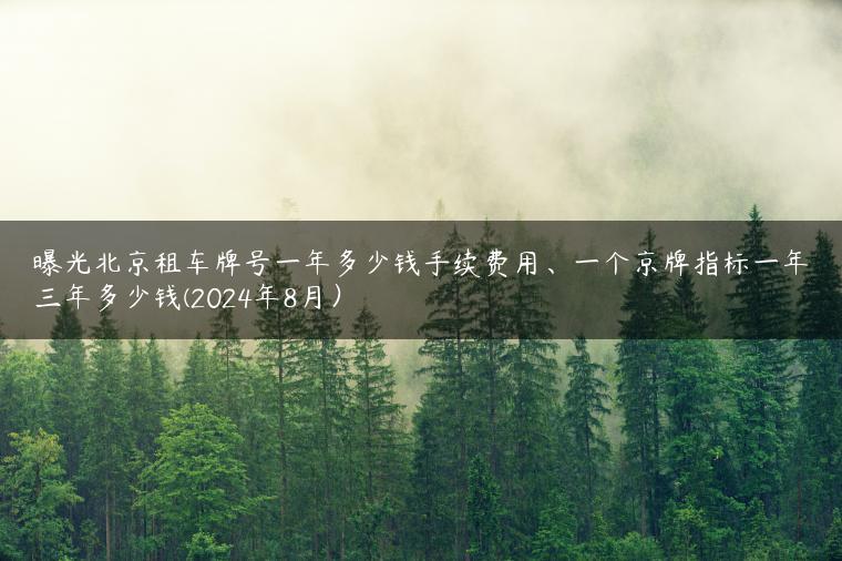 曝光北京租车牌号一年多少钱手续费用、一个京牌指标一年三年多少钱(2024年8月）