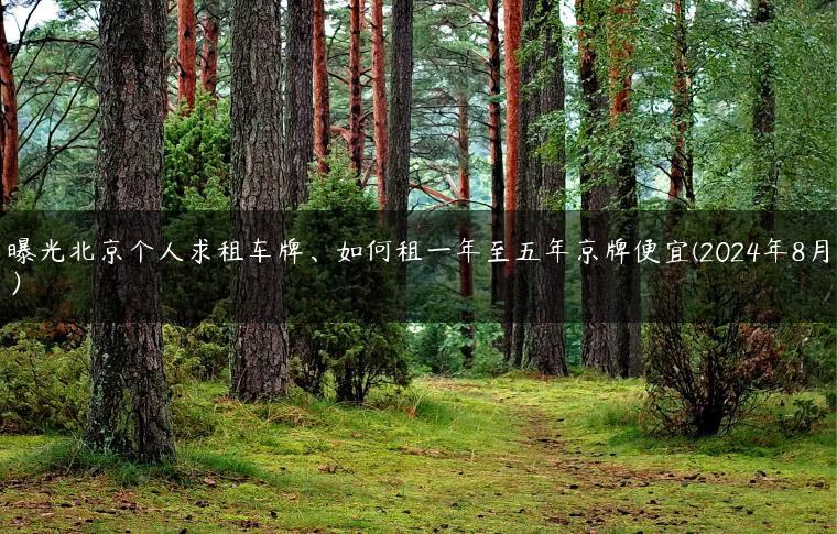 曝光北京个人求租车牌、如何租一年至五年京牌便宜(2024年8月）