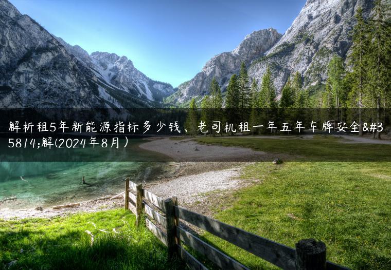 解析租5年新能源指标多少钱、老司机租一年五年车牌安全详解(2024年8月）