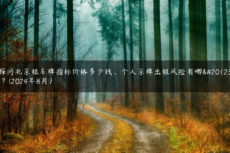 探问北京租车牌指标价格多少钱、个人京牌出租风险有哪些？(2024年8月）