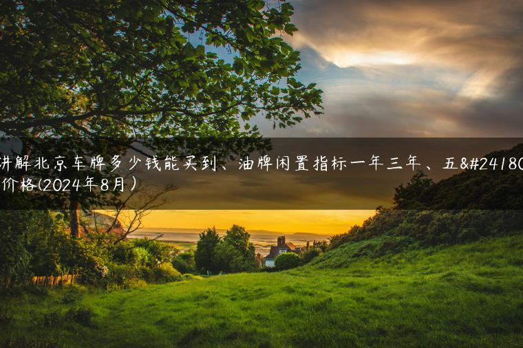 讲解北京车牌多少钱能买到、油牌闲置指标一年三年、五年价格(2024年8月）